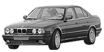 BMW E34 P0497 Fault Code